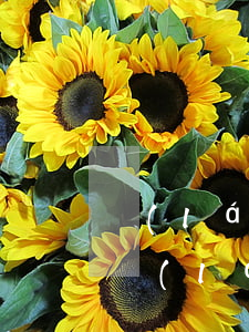 藍(lán)領(lǐng)貸逾期一個月(藍(lán)領(lǐng)貸逾期一個月怎么辦)