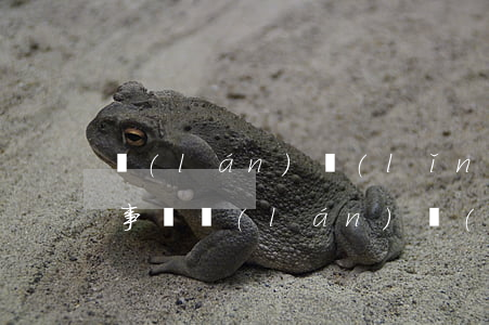 藍(lán)領(lǐng)貸逾期一天有事嗎(藍(lán)領(lǐng)貸逾期3年說(shuō)要起訴我)