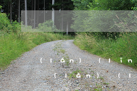藍(lán)領(lǐng)貸逾期一直不還(藍(lán)領(lǐng)貸逾期一直不還怎么辦)