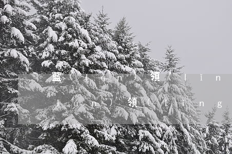 藍(lán)領(lǐng)貸逾期了(藍(lán)領(lǐng)貸逾期三年以上有沒有)