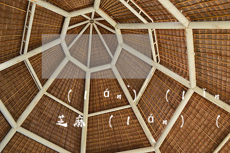 藍(lán)領(lǐng)貸逾期多久上芝麻(藍(lán)領(lǐng)貸最新消息)