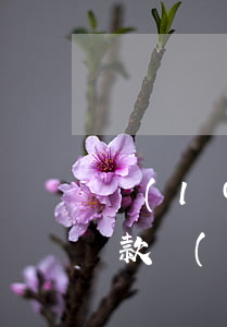 藍(lán)領(lǐng)貸逾期怎么還款?(藍(lán)領(lǐng)貸還款客服電話)