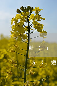 藍(lán)領(lǐng)貸逾期發(fā)短信賠三萬(wàn)
