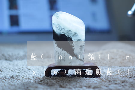 藍(lán)領(lǐng)貸逾期能協(xié)商還款(藍(lán)領(lǐng)貸逾期凍結(jié)財(cái)產(chǎn))