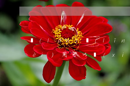 藍(lán)領(lǐng)貸逾期費(fèi)用可以協(xié)商(收到藍(lán)領(lǐng)貸逾期的信息)