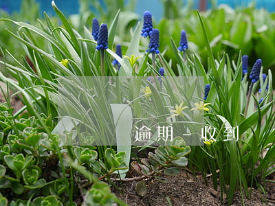 藍領帶逾期-收到藍領貸逾期的信息
