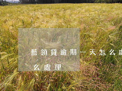 藍領貸逾期一天怎么處理(藍領貸逾期一天怎么處理)