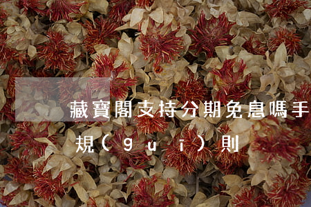 藏寶閣支持分期免息嗎(手游藏寶閣分期付款規(guī)則)