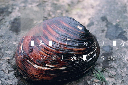 藥品經(jīng)營企業(yè)藥學(xué)技術(shù)人員解聘協(xié)議書