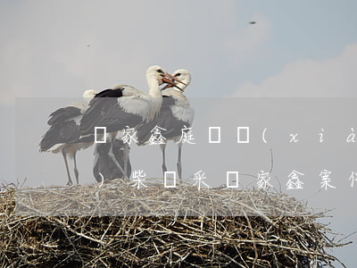 藥家鑫庭審現(xiàn)場(chǎng)(柴靜采訪家鑫案件視頻)