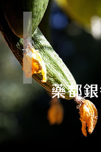 藥都銀行信用卡幾天是逾期
