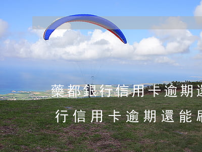 藥都銀行信用卡逾期還能刷出來嗎-藥都銀行信用卡逾期還能刷出來嗎安全嗎