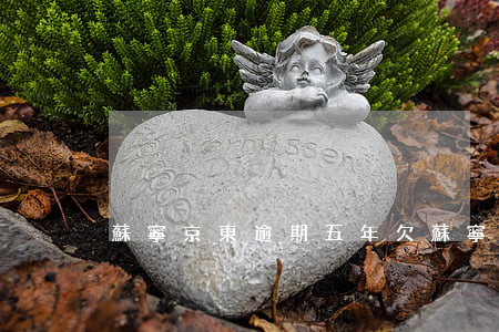 蘇寧京東逾期五年(欠蘇寧逾期3年)