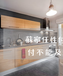 蘇寧任性付不能及時還款怎么辦-蘇寧任性付不能及時還款怎么辦呢