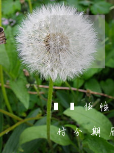蘇寧任性付分期后能提前還款嗎-蘇寧任性付分期后能提前還款嗎