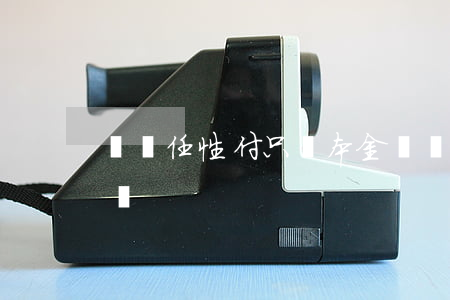 蘇寧任性付只還本金(蘇寧任性付能提前還款嗎)
