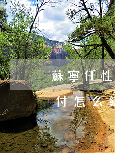蘇寧任性付怎么綁定信用卡還款-蘇寧任性付怎么綁定信用卡還款