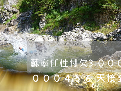 蘇寧任性付欠30000(蘇寧任性付欠款3000456天,接到催收信息說上門執(zhí)行)
