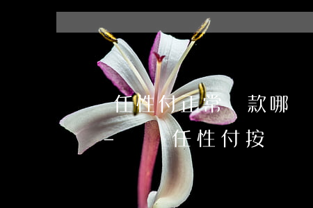 蘇寧任性付正常還款哪來的風(fēng)險-蘇寧任性付按時還款會上征信嗎