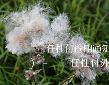 蘇寧任性付逾期通知外訪人員要來(lái)-蘇寧任性付外訪部
