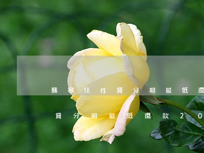 蘇寧任性貸分期最低還款200-蘇寧任性貸分期最低還款200萬