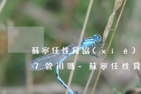 蘇寧任性貸協(xié)商還款打95177管用嗎-蘇寧任性貸協(xié)商還款打95177管用嗎是真的嗎