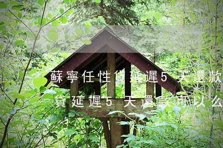 蘇寧任性貸延遲5天還款可以么-蘇寧任性貸延遲5天還款可以么