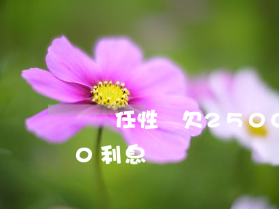 蘇寧任性貸欠2500元(蘇寧任性貸5000利息)