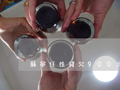 蘇寧任性貸欠900元會起訴嗎