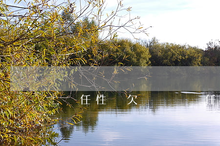 蘇寧任性貸欠兩萬(蘇寧任性貸惡心死了)