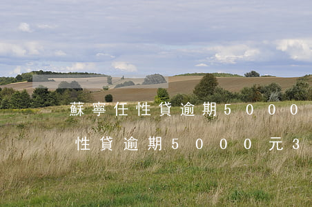 蘇寧任性貸逾期5000元3個月-蘇寧任性貸逾期5000元3個月利息多少