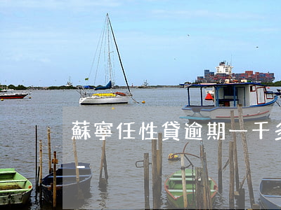 蘇寧任性貸逾期一千多會(huì)起訴嗎-