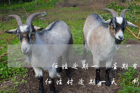 蘇寧任性逾期一個星期有什么后果-蘇寧易購任性付逾期一天會影響信用嘛