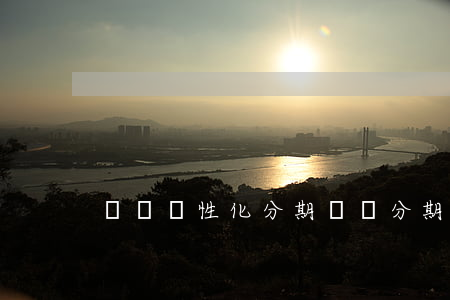 蘇寧個性化分期(蘇寧分期必須用信用卡嗎)