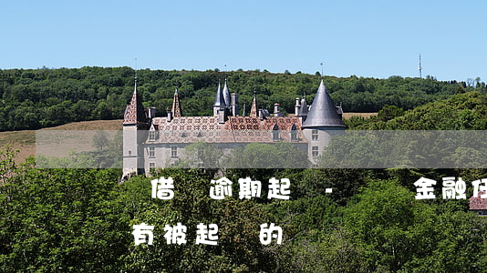 蘇寧借貸逾期起訴-蘇寧金融任性貸逾期不還有被起訴的嗎