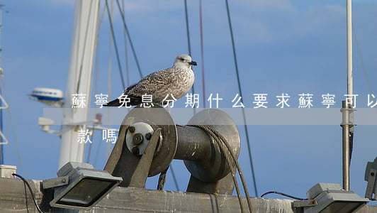 蘇寧免息分期什么要求 蘇寧可以免息分期付款嗎
