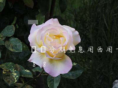 蘇寧分期免息用西用卡(蘇寧分期最高減1888)
