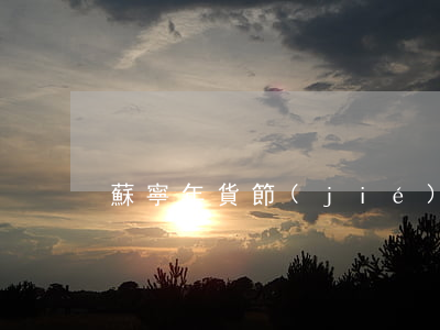 蘇寧年貨節(jié)分期免息(蘇寧 免息)