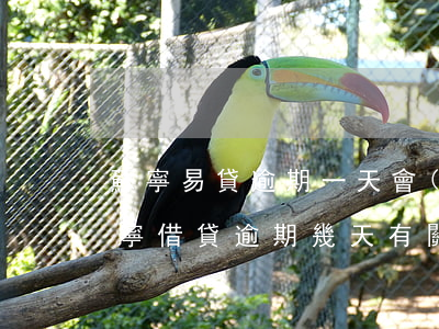蘇寧易貸逾期一天會(huì)被起訴嗎(蘇寧借貸逾期幾天有關(guān)系嗎)