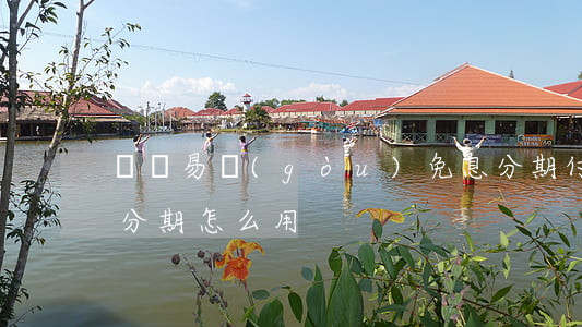 蘇寧易購(gòu)免息分期付款(蘇寧免息分期怎么用)