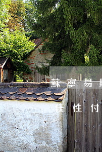 蘇寧易購任性付怎么提前還款嗎-蘇寧易購任性付怎么提前還款嗎安全嗎