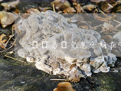 蘇寧易購免息分期在哪