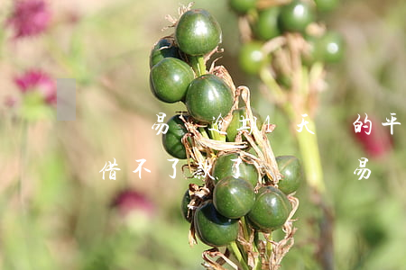 蘇寧易購逾期1天別的平臺(tái)怎么借不了款了-蘇寧易購逾期1天別的平臺(tái)怎么借不了款了呢