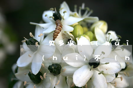 蘇寧欠多少才會(huì)起訴(欠蘇寧錢的會(huì)不會(huì)起訴)