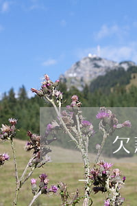蘇寧欠款逾期發(fā)短信會找到家里嗎-蘇寧欠款逾期發(fā)短信會找到家里嗎是真的嗎
