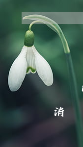 蘇寧消費(fèi)金融逾期不去法院(蘇寧消費(fèi)金融逾期多久會(huì)起訴)