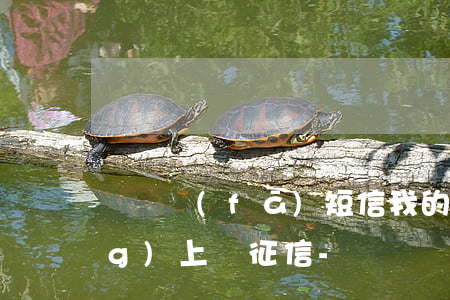 蘇寧發(fā)短信我的逾期已經(jīng)上報征信-蘇寧發(fā)短信我的逾期已經(jīng)上報征信了