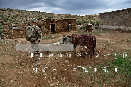 蘇寧的任性付怎么一次性還款嗎-蘇寧任性付可以一次性還完嗎