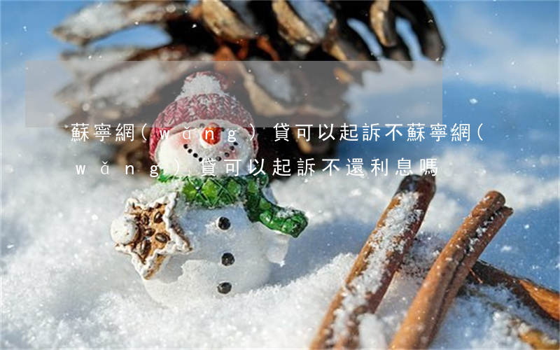 蘇寧網(wǎng)貸可以起訴不(蘇寧網(wǎng)貸可以起訴不還利息嗎)