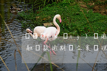 蘇寧網(wǎng)貸逾期了怎么辦(蘇寧金融貸款逾期 說立案處理真的嗎)